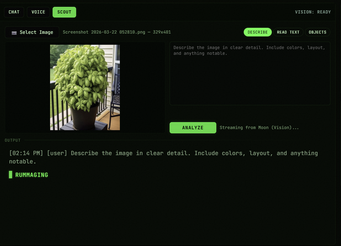 SCOUT Vision — Identify plants, parse documents, describe scenes — all offline.