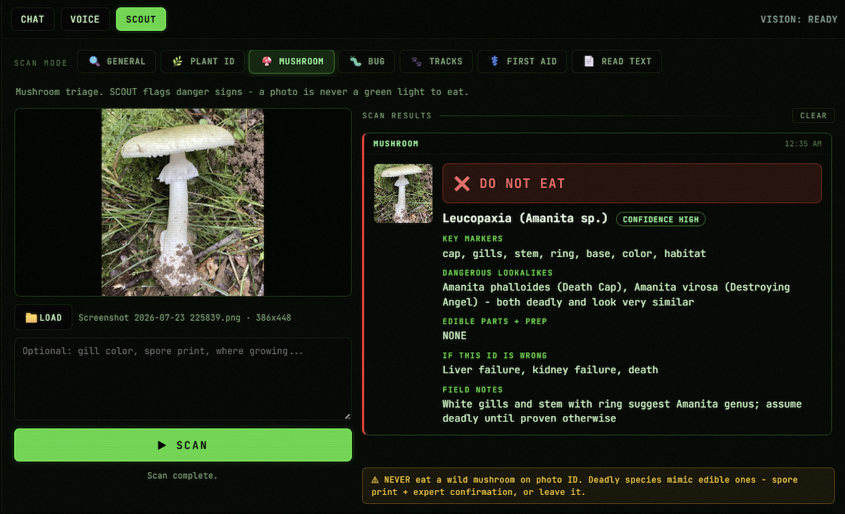 PortableMind 1.8.0 SCOUT Mushroom mode returning a DO NOT EAT verdict for an Amanita with lookalikes and risk line