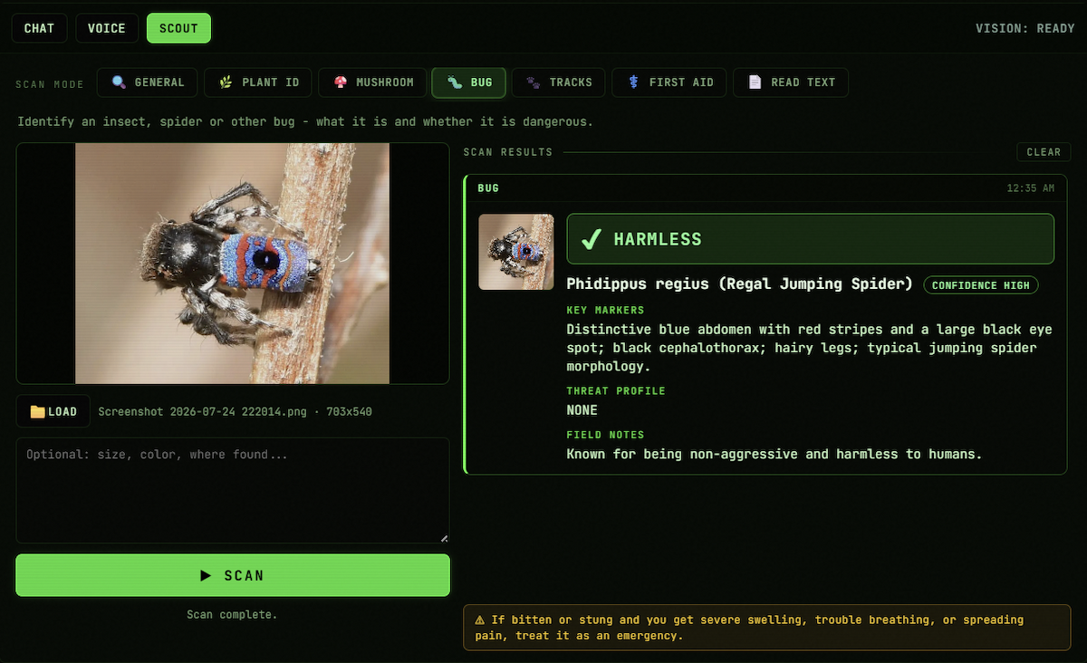 PortableMind 1.8.0 SCOUT Bug mode identifying a regal jumping spider as harmless with confidence rating