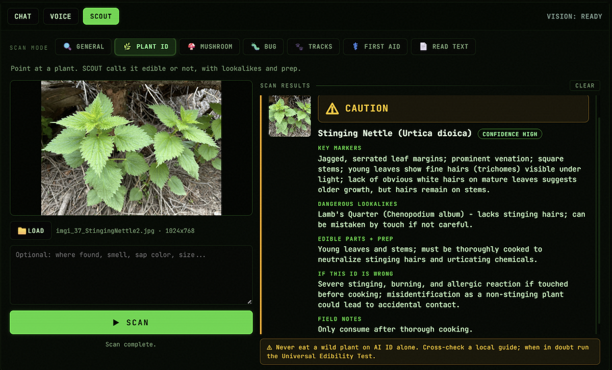 PortableMind 1.8.0 SCOUT Plant ID mode flagging stinging nettle with CAUTION, edible prep, and lookalike warnings